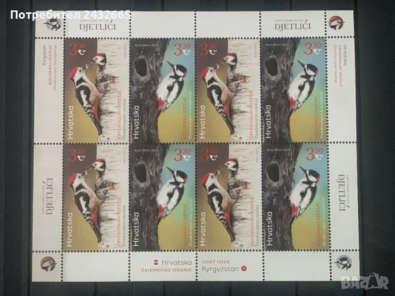 890а.  Хърватия 2021 = “ Фауна. Защитени видове птици “ ,**,MNH, Minisheet  , снимка 1