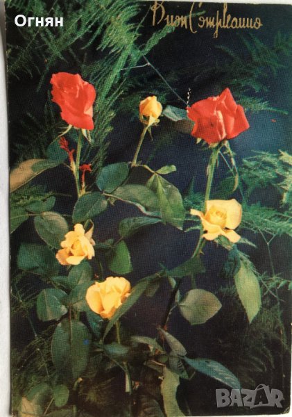 Картички рози, снимка 1