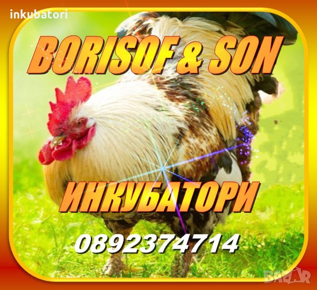 Инкубатор, снимка 1