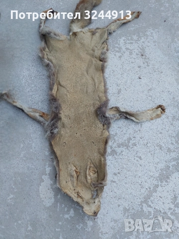 Лисича кожа , снимка 6 - Други стоки за дома - 52309285