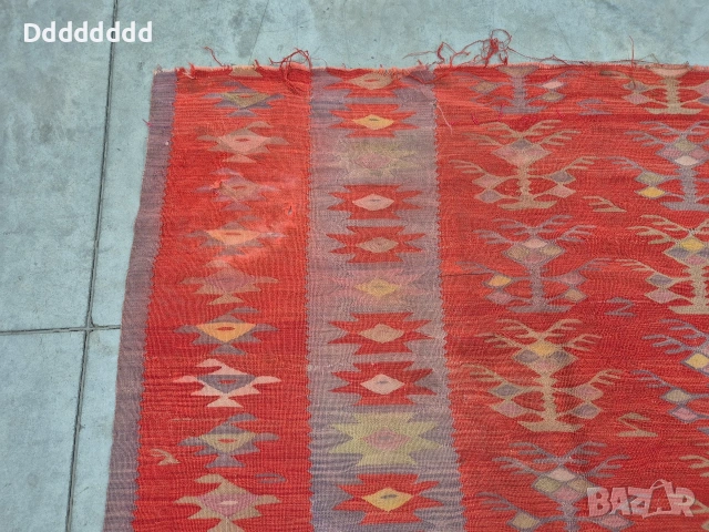 Много стар Чипровски килим, снимка 7 - Други ценни предмети - 53292803