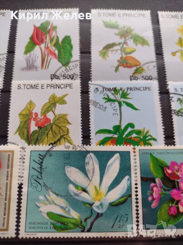 Пощенски марки чиста комплектна серия Растения, Цветя стари редки за колекция декорация - 22048, снимка 7 - Филателия - 36642246