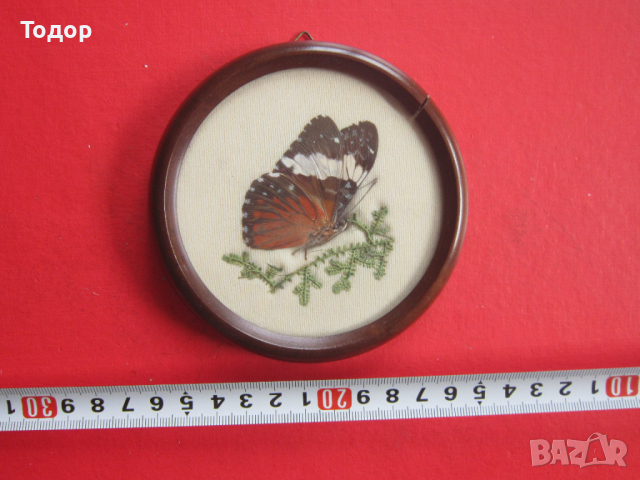 Невероятна бразилска арт картина изкуство пеперуда 2