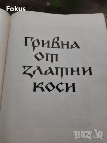 За майсторите, цветорезците и зографите - Христина Милчева, снимка 5 - Антикварни и старинни предмети - 53384271