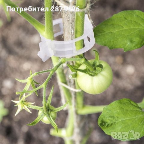 3691 50 броя клипс за поддържане на домати и растения, снимка 5 - Други - 37876716