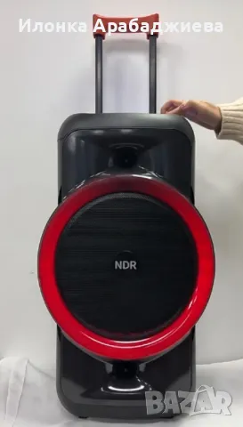 Караоке тонколона 12"