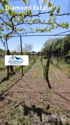 Едноетажна къща в село Средец обл. Стара Загора, снимка 5 - Къщи - 49449009