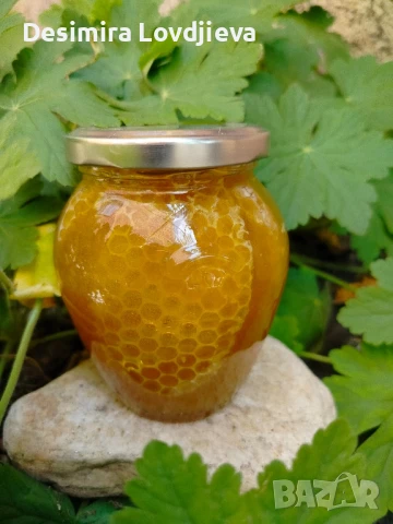 пчелен мед, снимка 2 - Пчелни продукти - 50803011