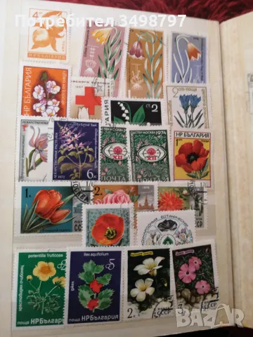 Класьор с марки 13 страници, снимка 11 - Филателия - 49342235