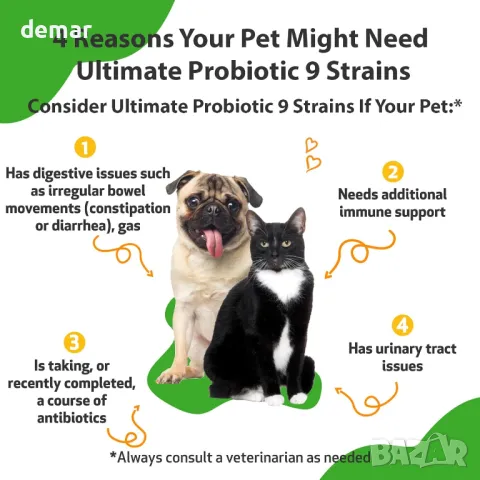 Pet Wellbeing Ultimate Probiotic 9 щама за кучета и котки - Здравословно храносмилане, 320 гр, прах, снимка 2 - За кучета - 48238100