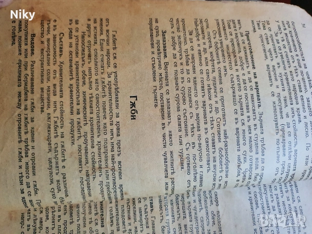 Стара готварска книга от началото на 20 век , снимка 6 - Антикварни и старинни предмети - 53099565