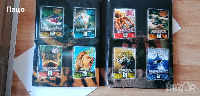 НАЙ-ОПАСНИТЕ ЖИВОТНИ В СВЕТА - 8 DVD КУТИИ/промо цена, снимка 4 - DVD филми - 39831522