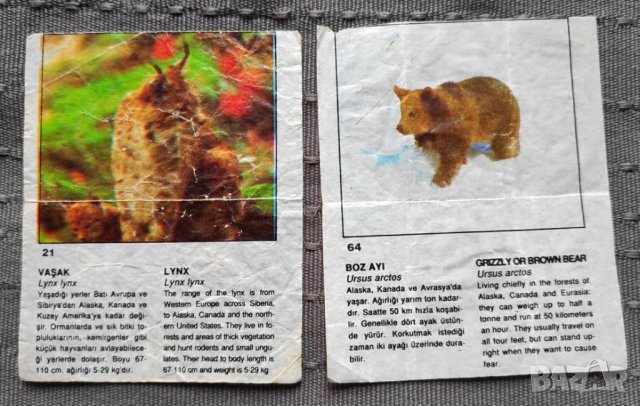 Картинки от дъвки микс, снимка 3 - Колекции - 24224116