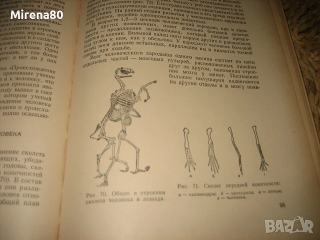 Общая биология - 1969 г., снимка 7 - Чуждоезиково обучение, речници - 50668667