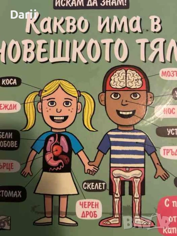 Искам да знам: Какво има в човешкото тяло- Рут Мартин