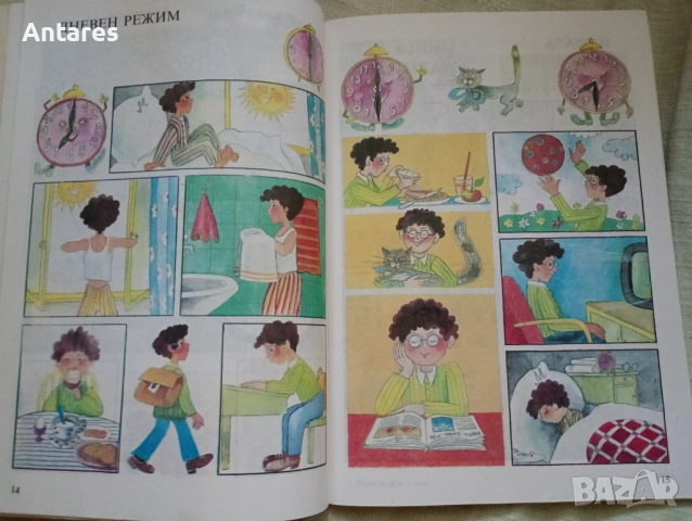 Роден край за 1 клас, снимка 3 - Учебници, учебни тетрадки - 51857590