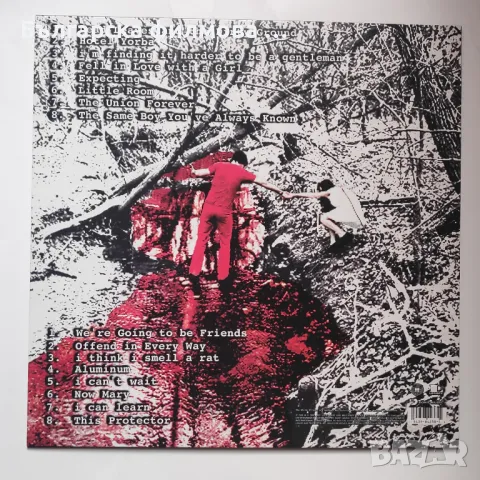The White Stripes – White Blood Cells, снимка 2 - Грамофонни плочи - 50246021