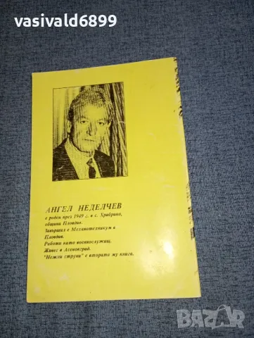 Ангел Неделчев - Нежни струни , снимка 3 - Българска литература - 47500160