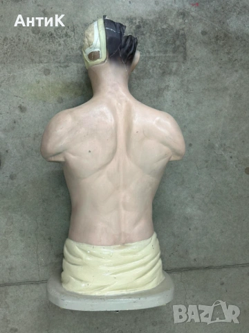 Соц Учебен Модел на Човешко Тяло Торс, снимка 2 - Антикварни и старинни предмети - 53296122