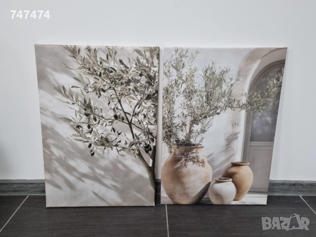 Две картини 45/65