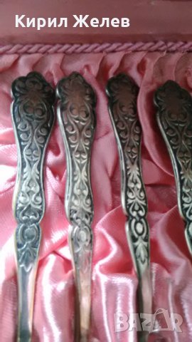 СТАРИННИ ПОСРЕБРЕНИ БРОНЗОВИ ОРНАМЕНТИРАНИ Лъжици комплект 12 бр в ЛУКСОЗНА КУТИЯ Лъжички А1050, снимка 5 - Прибори за хранене, готвене и сервиране - 32601146
