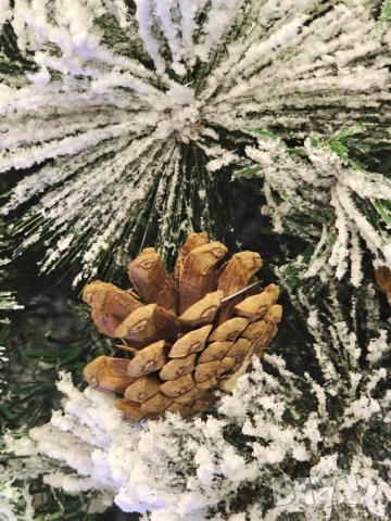 Изкуствено борче/елха със заскрежени иглички, снимка 4 - Декорация за дома - 52309598