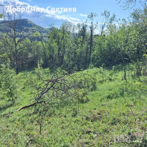 парцел в Еленският балкан , снимка 4 - Парцели - 50342176