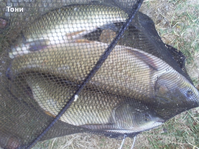 Лодки за захранка-GPS- 24 точки автопилот круйз контрол., снимка 6 - Стръв и захранки - 51946610