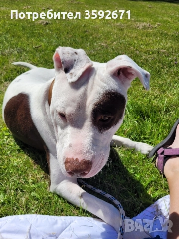 Шофьор и Работник Погребални Услуги