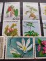 Пощенски марки чиста комплектна серия Растения, Цветя стари редки за колекция декорация - 22048, снимка 7