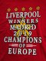 Мъжка памучна тениска на Ливърпул Liverpool Football Club, снимка 5