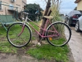 Дамски Велосипед, снимка 1