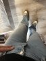 Wide leg jeans дънки