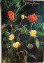 Картички рози, снимка 1 - Филателия - 28915077