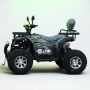 Бензиново АТВ/ATV 250cc/250 кубика RockHunter с лебедка Gray/Green, снимка 2