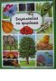 Енциклопедия на природата, снимка 1 - Енциклопедии, справочници - 32486818