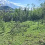 парцел в Еленският балкан , снимка 4