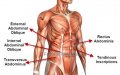 НОВ тренажор за коремни мускули, трениращ коремен мускул, Abdominal Muscle Trainer, снимка 11