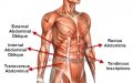 НОВ тренажор X-CITE за коремни мускули, трениращ коремен мускул, Abdominal Muscle Trainer, снимка 13