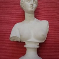 Стар гипсов бюст на Венера Милоска(Афродита). , снимка 6 - Антикварни и старинни предмети - 32333468
