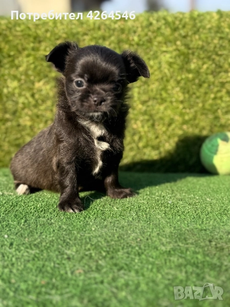 Дългокосместо момче , снимка 1