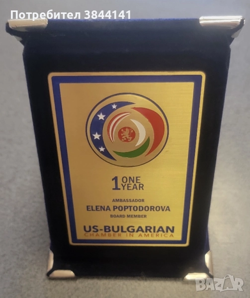 Плакет Елена Поптодорова, снимка 1