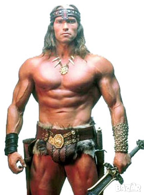 Великият Шварценегер в 11 филма (на CDили флашка), снимка 1