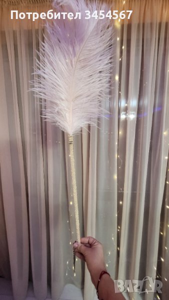 Перо декорация, снимка 1