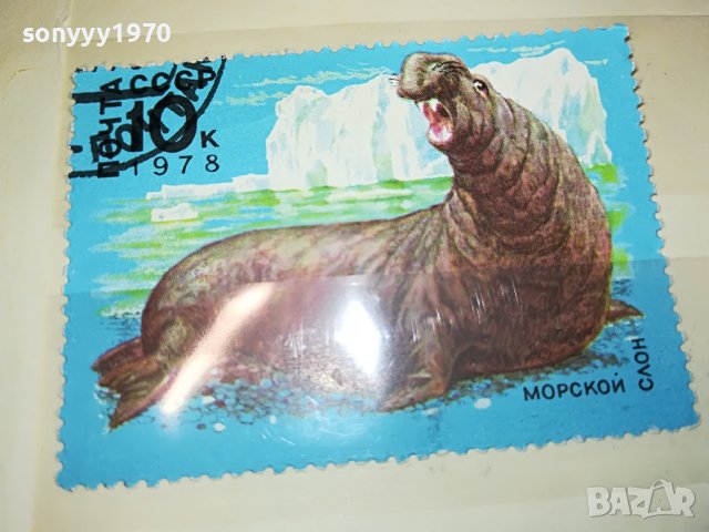 МАРКА 10 1978 СССР МОРСКОЙ СЛОН 1303231548, снимка 7 - Филателия - 39984954