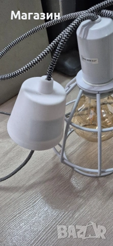 Полилей , снимка 3 - Полилеи - 53198831