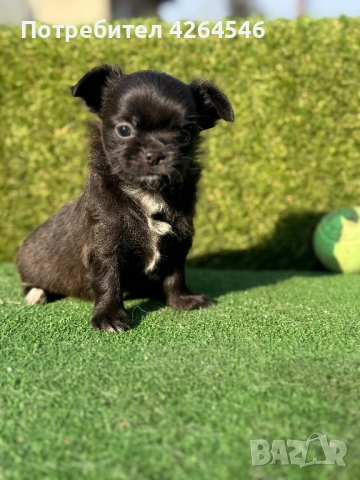 Дългокосместо момче , снимка 1