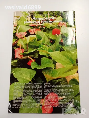 Списание "Цветя и дом", снимка 4 - Списания и комикси - 49252557