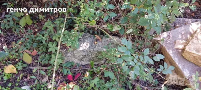 дялани камъни и стъпала, снимка 8 - Строителни материали - 47469122