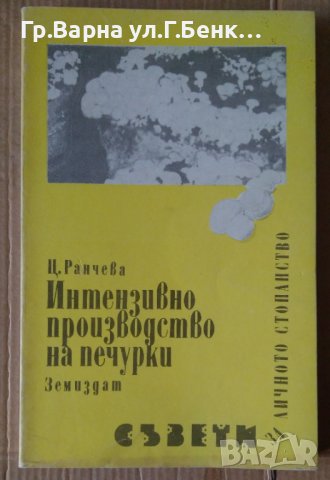 Интензивно производство на печурки  Ц.Ранчева